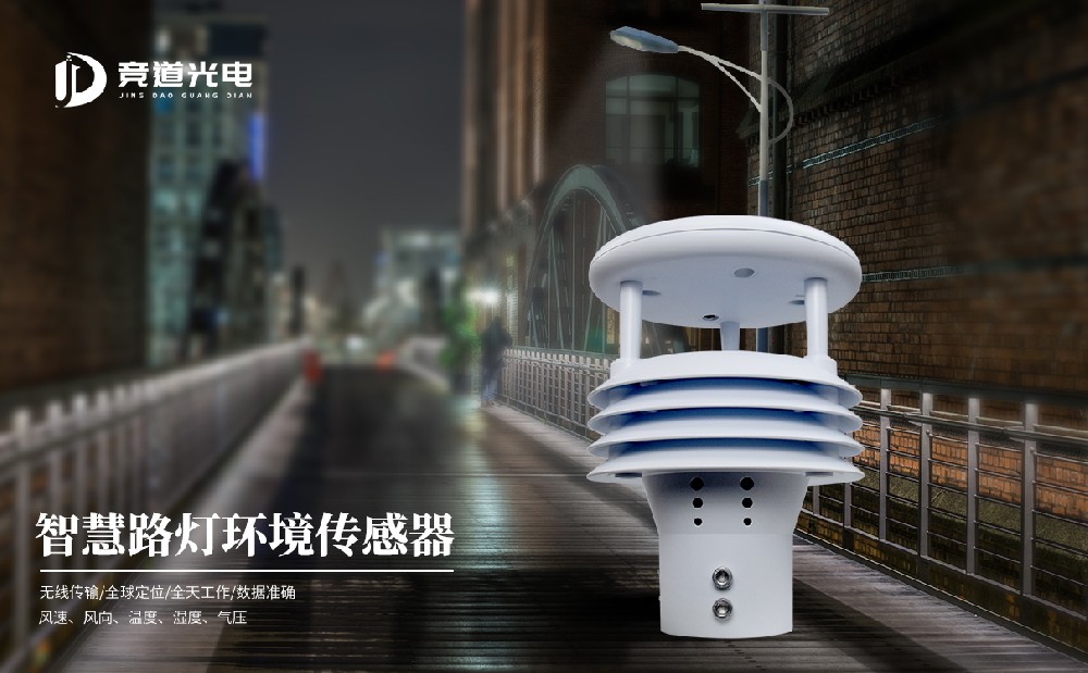 智慧燈桿環(huán)境傳感器 智慧燈桿環(huán)境傳感器