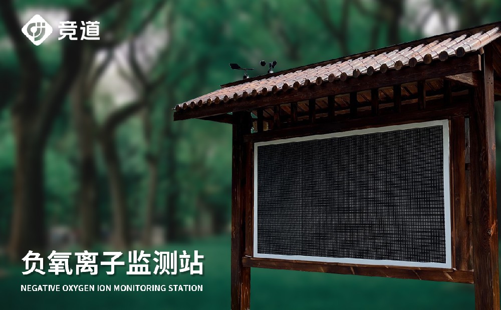 負(fù)氧離子自動(dòng)監(jiān)測(cè)系統(tǒng)